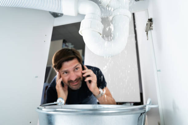 Best 24-Hour Plumber Near Me  in Glencoe, MN